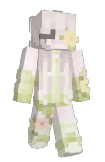 Front of lcvd's skin