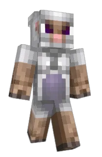 Front of YBZ's skin