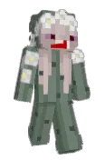 minecraftBrini