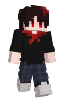 Front of FlagTrue's skin