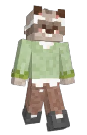 Skin preview