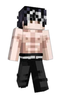 Front of Furious11_'s skin