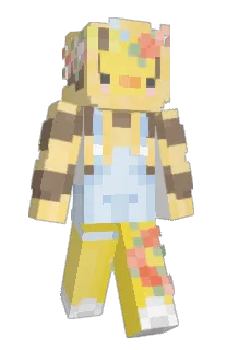 Front of Minecraft skin