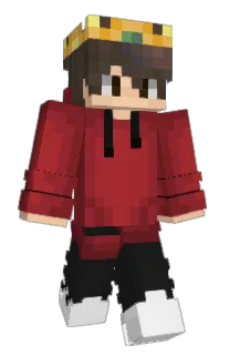 Front of wilhasthewin's skin