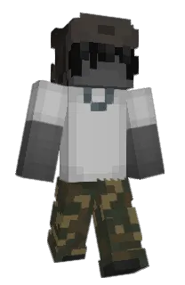 Front of AMPferd's skin