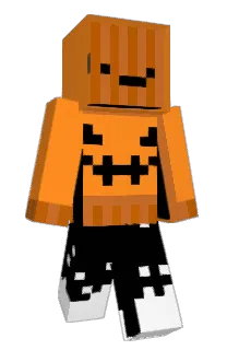 Front of Alexpik2013's skin