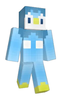 Front of NotCheckers24's skin