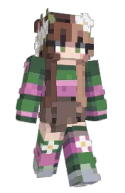 Skin preview