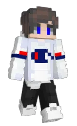 CrazyHero_'s Minecraft skin wearing the Migrator cape