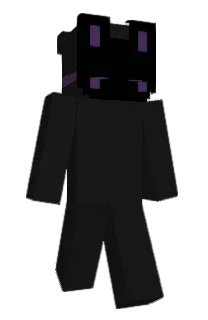 Front of s0ig's skin