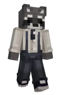 Front of Synsao's skin