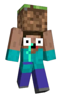 Front of PallDex's skin