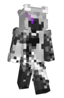 TheToks's Minecraft skin