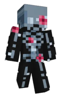 Front of Pelicannon's skin