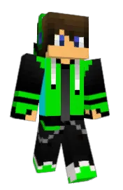 Skin preview