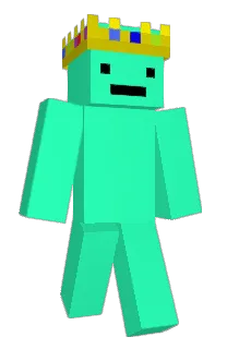 Front of Suplized's skin