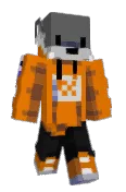 CaonStepperunner