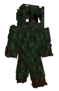 Front of 6ZC's skin