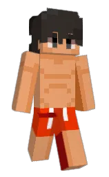 porsche and dune Minecraft skin — Slim model