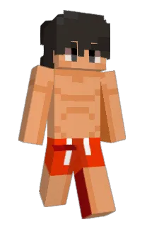 Front of Minecraft skin