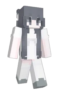 Front of ariiso's skin