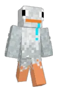 Seagull_Boiii