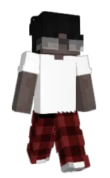 Slim Minecraft skin