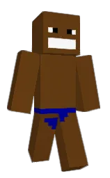 sepia and navy blue Minecraft skin — Classic model — first worn by vovosovo