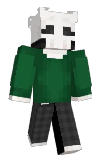 Front of BioTrashBag's skin
