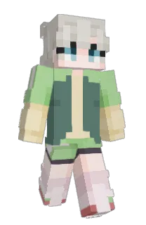 Front of ZakisGayy's skin