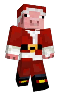 Front of Doshdog's skin
