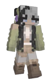 Skin preview