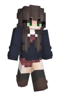 Front of ZyZard's skin