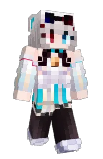 Front of 154Er's skin