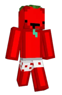 Front of Minecraft skin