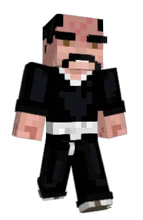 Front of Buddyi's skin