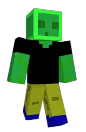 Skin preview