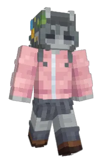 Front of seavomit's skin