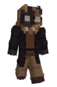 wiidog