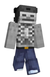 Front of pvfa's skin