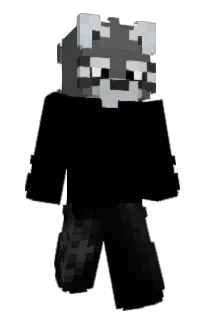 rpjnine's Minecraft skin