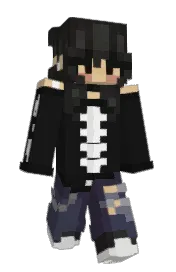 Skin preview