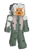 minecraftBrinii