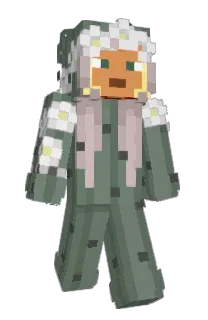 Front of minecraftBrinii's skin