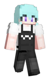 Front of IJYU22's skin