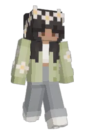 Skin preview