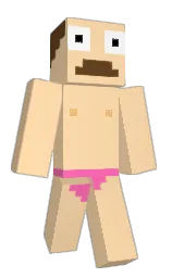 Back of Minecraft skin