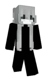 swagknight1's Minecraft skin wearing the Migrator cape