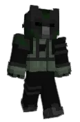 nood009