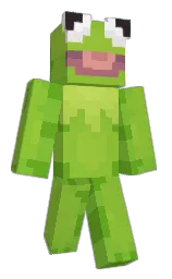 looooiiisl's Minecraft skin wearing the Common cape